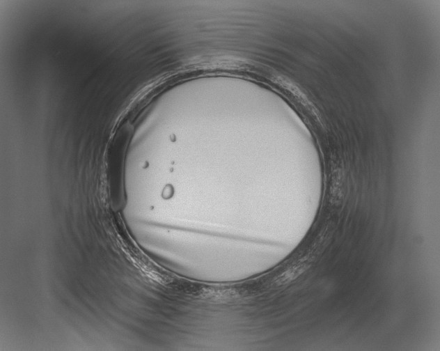 X0000082700978200702161745