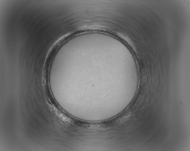 X0000082700979200702161745