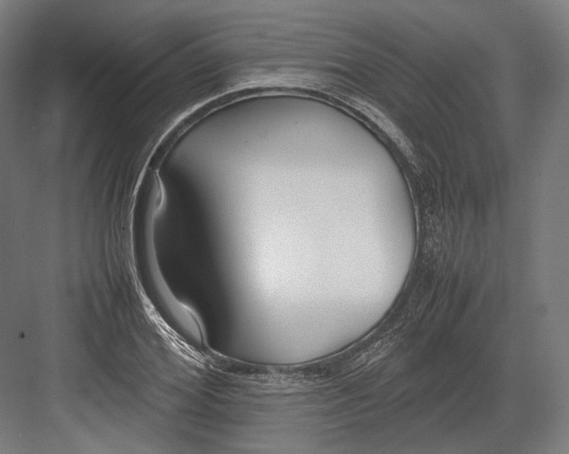 X0000082700980200702161745