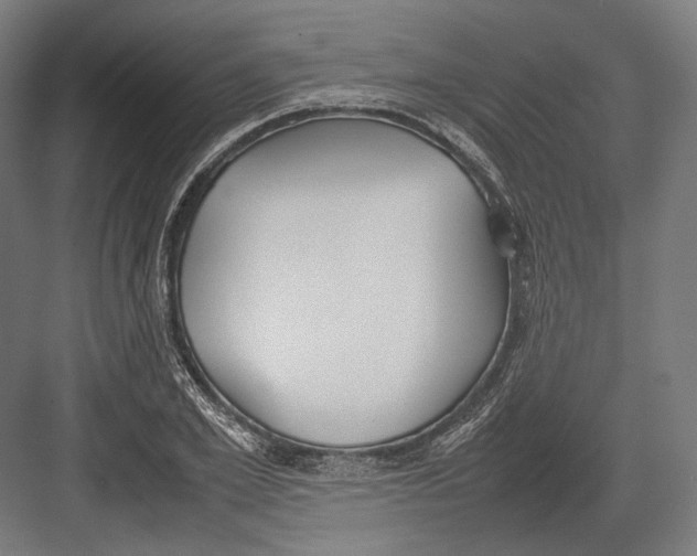 X0000082700981200702161745