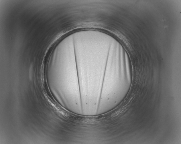 X0000082700982200702161745