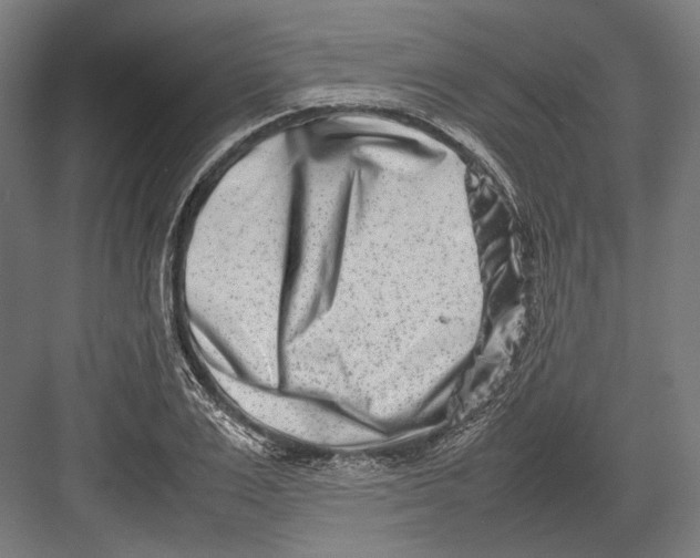 X0000082700983200702161745