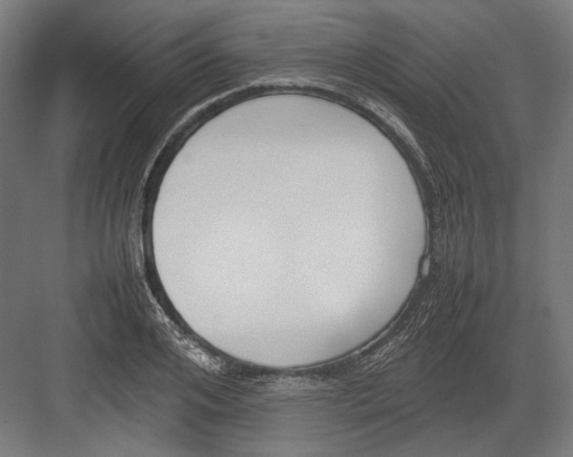 X0000082700984200702161745