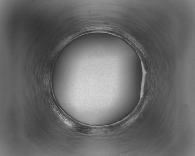 X0000082700985200702161745