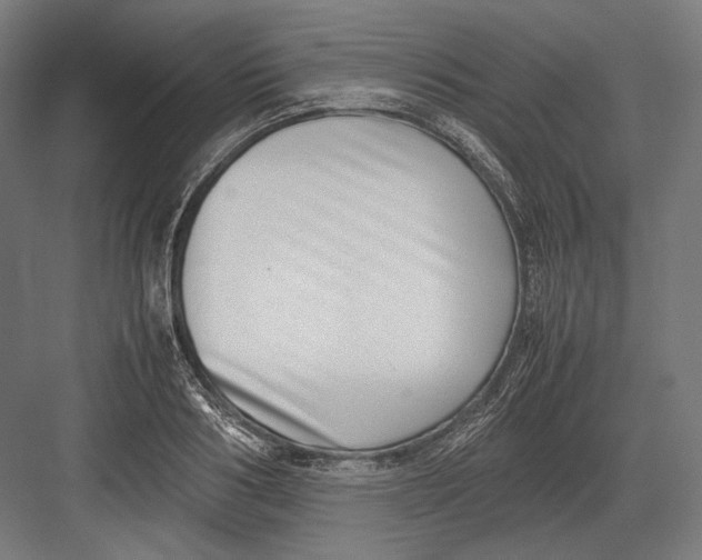 X0000082700986200702161745