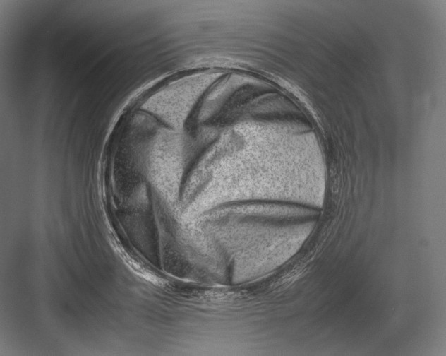 X0000082700987200702161745