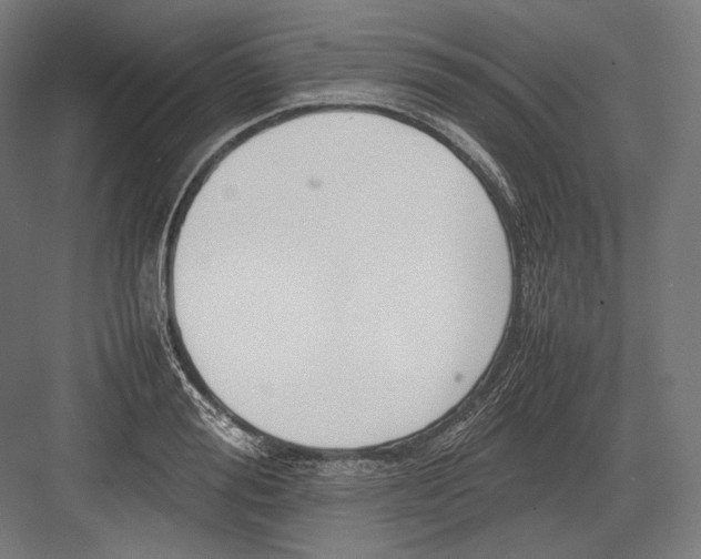 X0000082700988200702161745