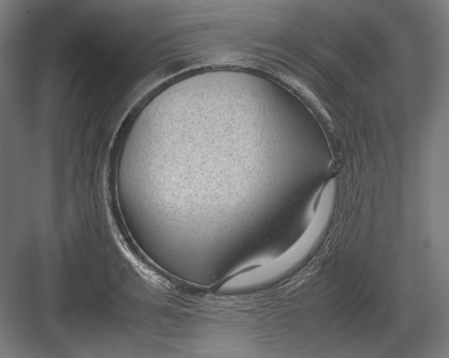 X0000082700991200702161745