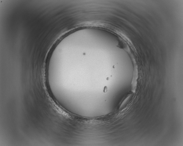 X0000082700992200702161745