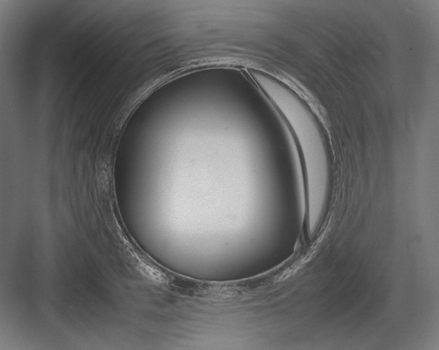 X0000082700993200702161745