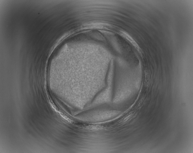 X0000082700994200702161745