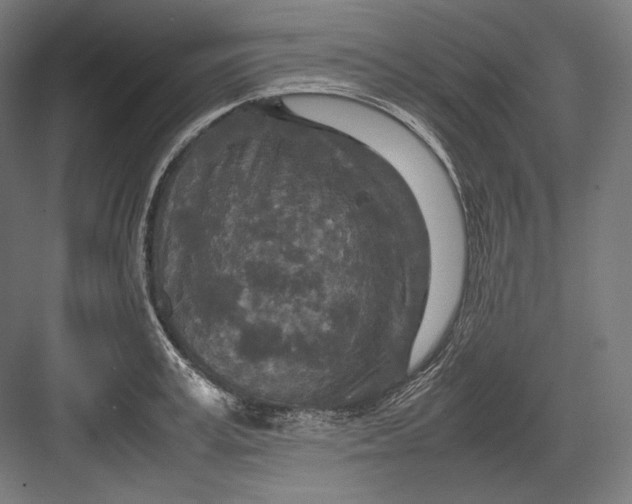 X0000082700995200702161745