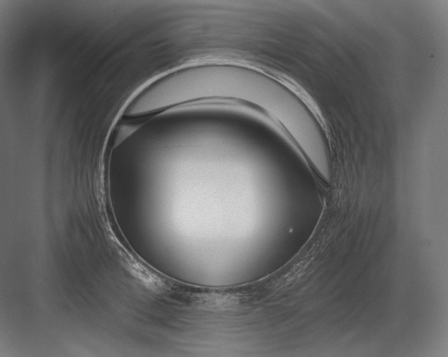 X0000082700996200702161745