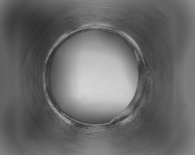 X0000082700997200702161745