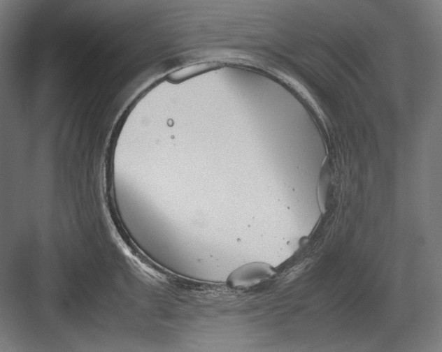 X0000082700999200702161745