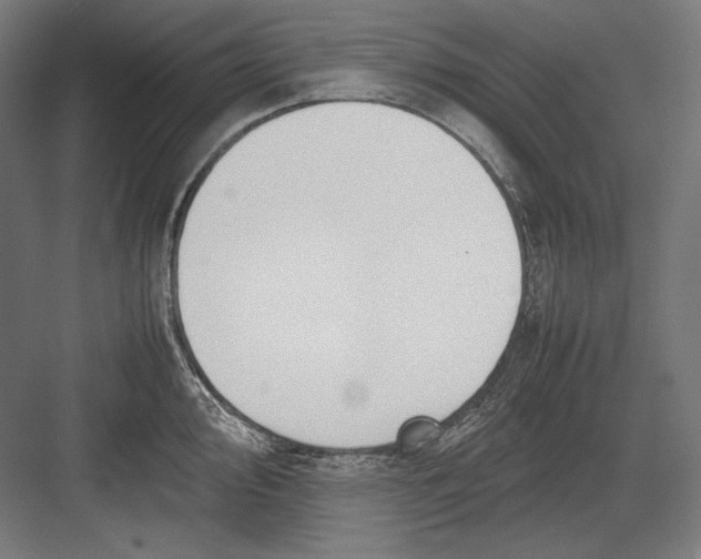 X0000082701000200702161745