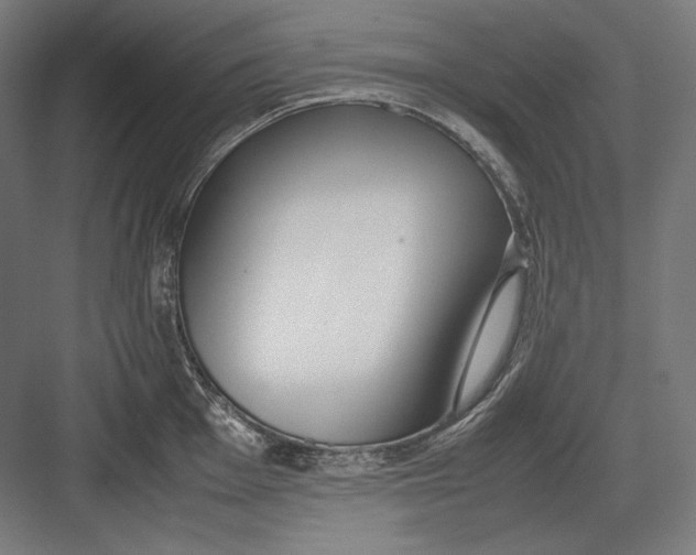 X0000082701001200702161745