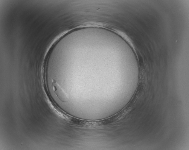 X0000082701003200702161745