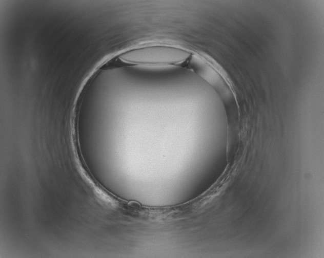 X0000082701005200702161745