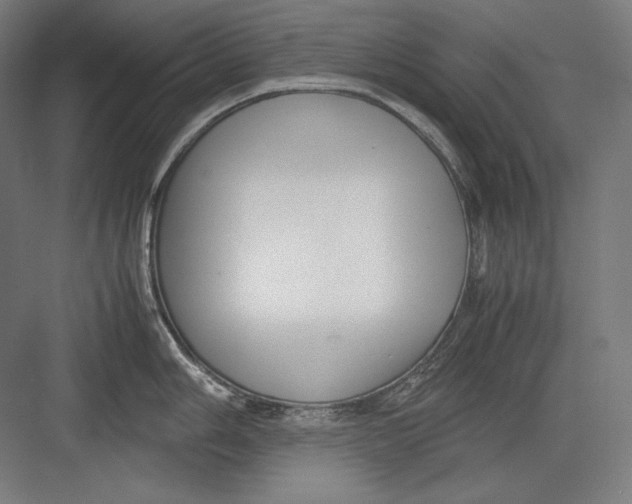 X0000082701006200702161745