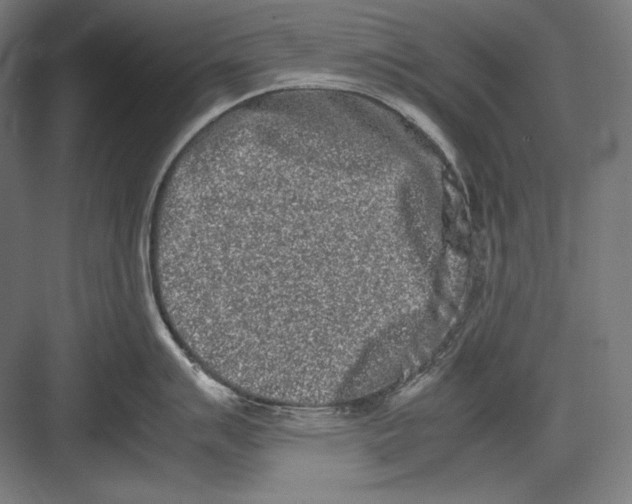 X0000082701007200702161745