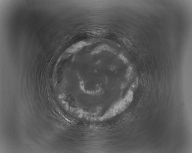 X0000082701009200702161744