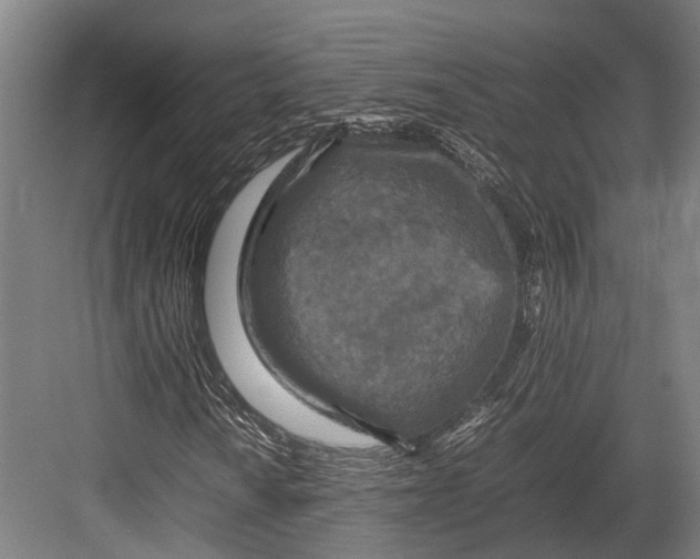 X0000082701010200702161744