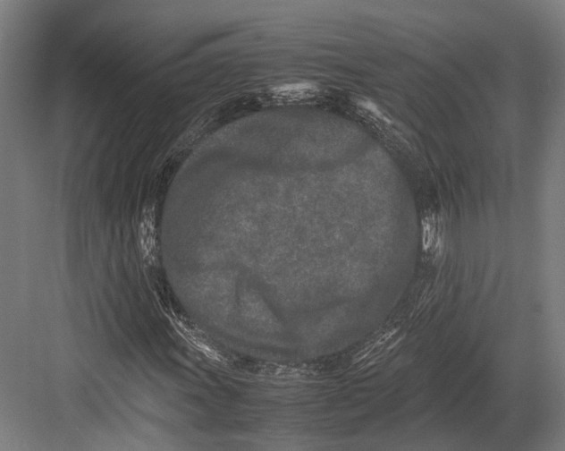 X0000082701011200702161744