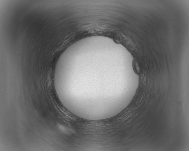 X0000082701012200702161744