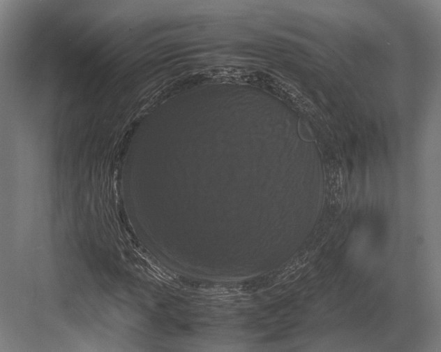 X0000082701013200702161744