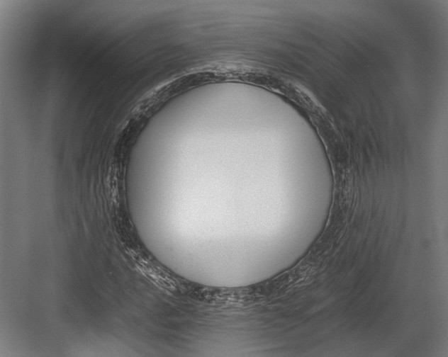 X0000082701016200702161744