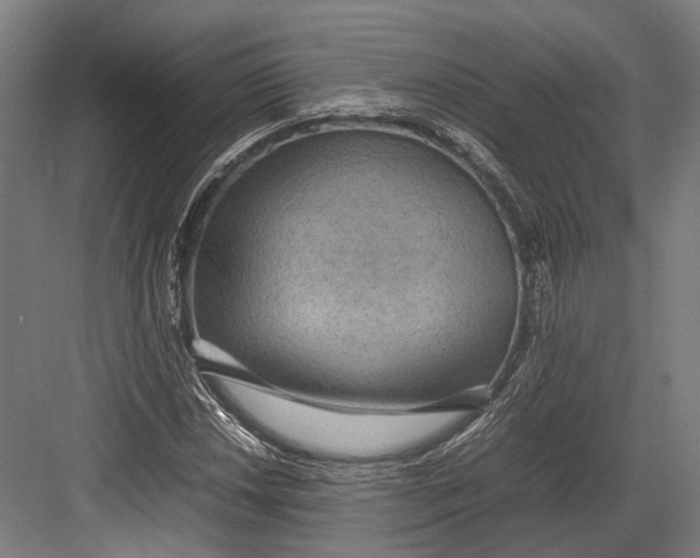 X0000082701018200702161744