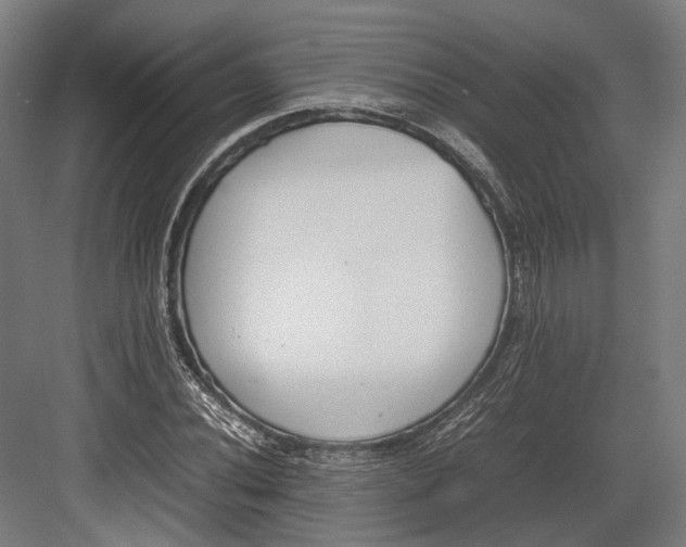 X0000082701020200702161744