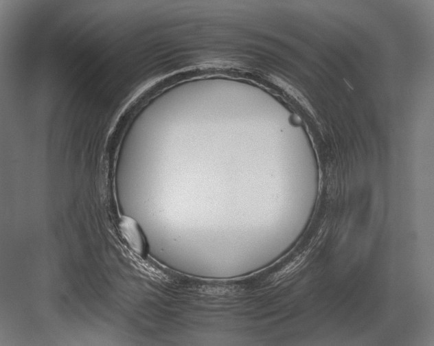 X0000082701021200702161744