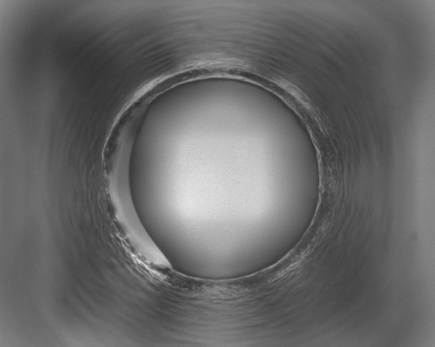 X0000082701022200702161744