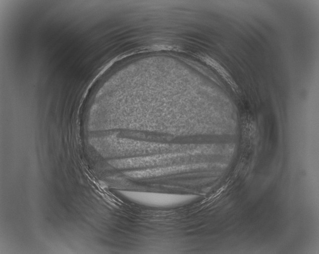 X0000082701023200702161744