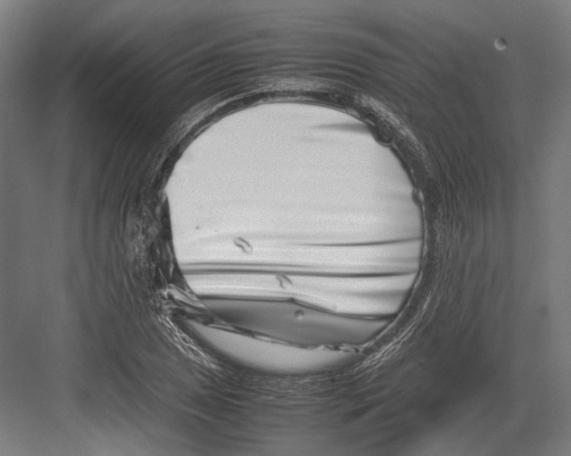 X0000082701025200702161744