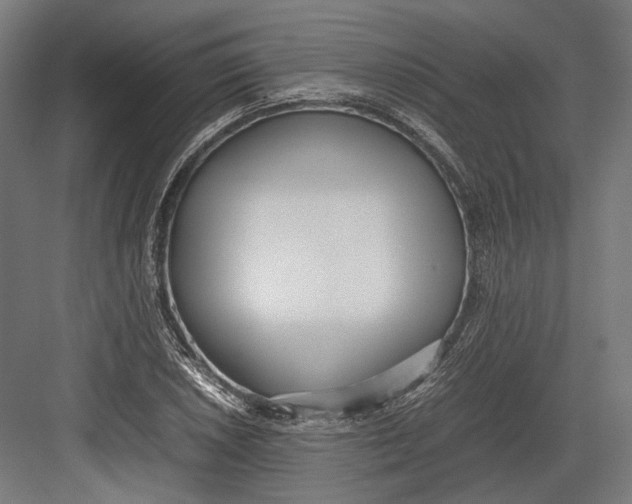 X0000082701026200702161744