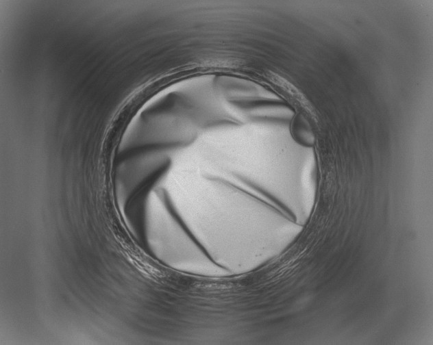 X0000082701027200702161744