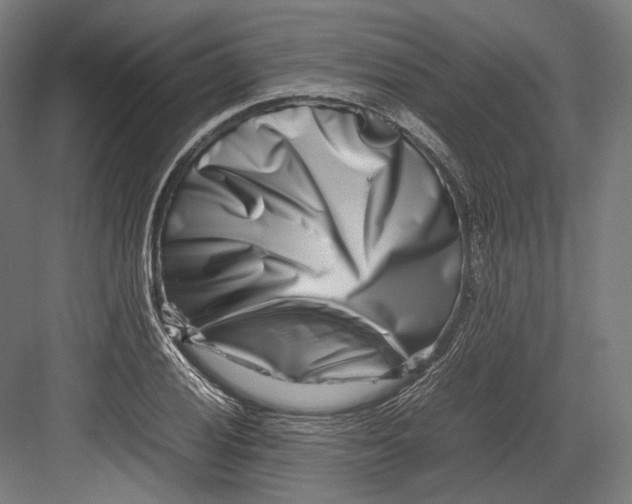 X0000082701028200702161744