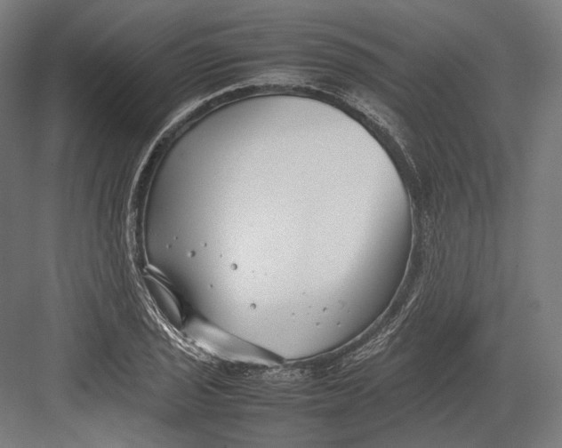 X0000082701029200702161744