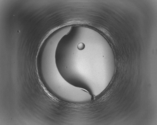 X0000082701030200702161744