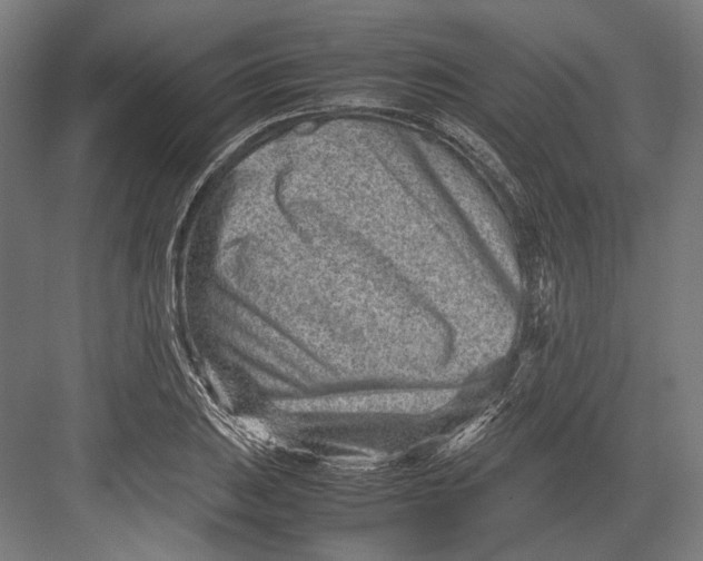 X0000082701031200702161744