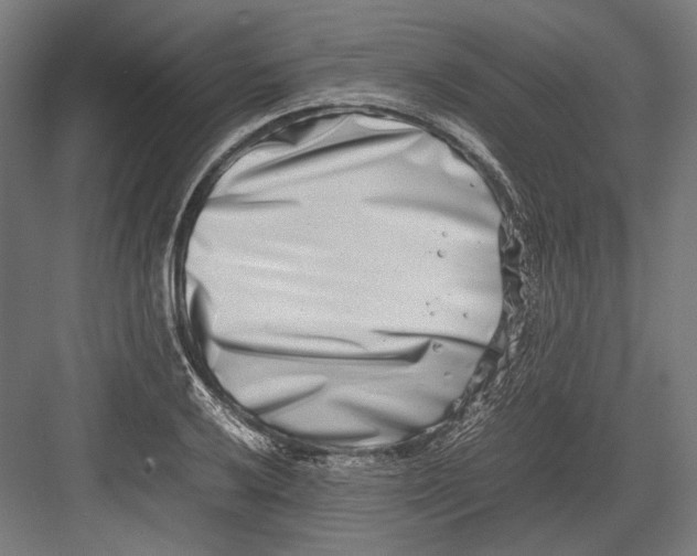 X0000082701032200702161744