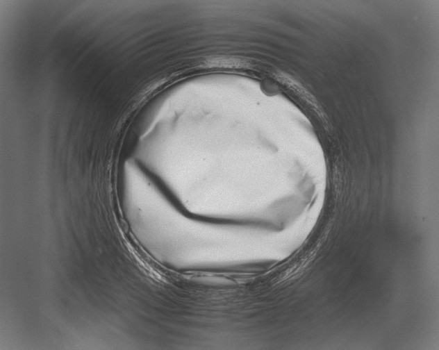 X0000082701033200702161744