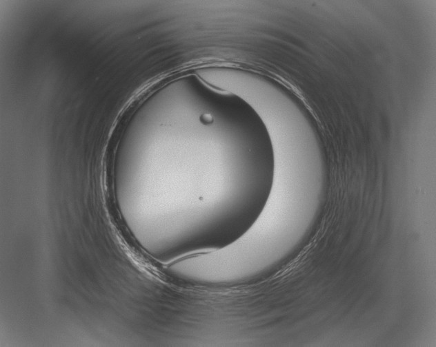 X0000082701034200702161744