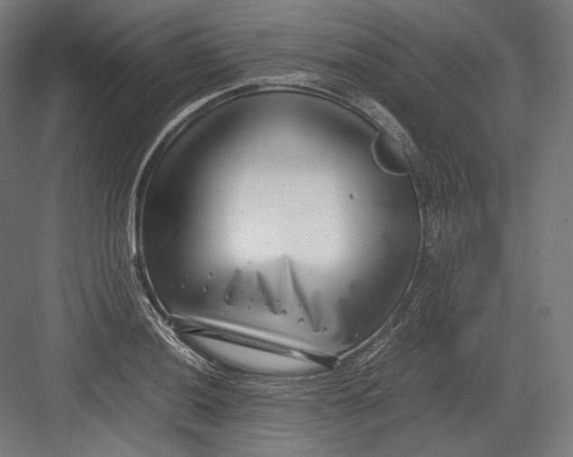 X0000082701036200702161744