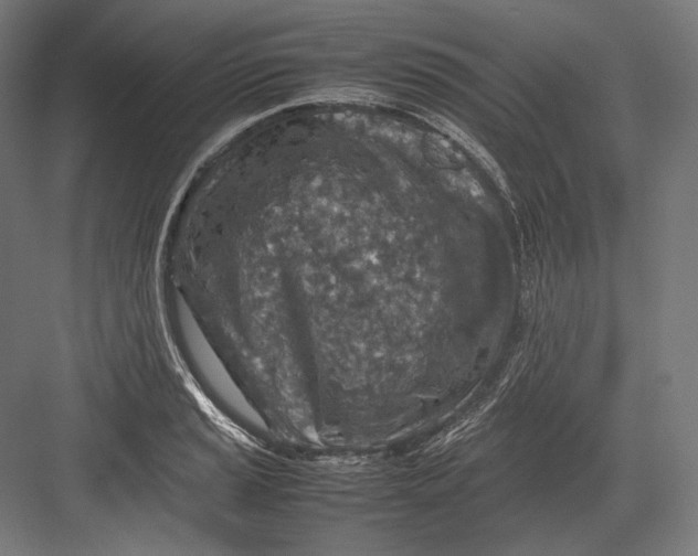 X0000082701037200702161744