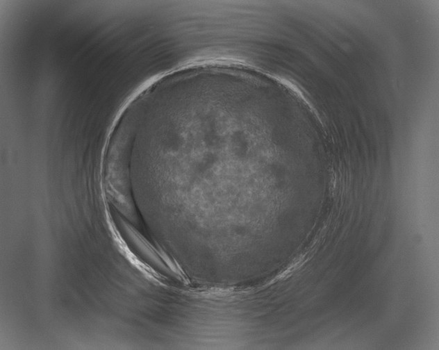 X0000082701038200702161744