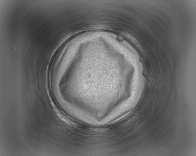 X0000082701039200702161744